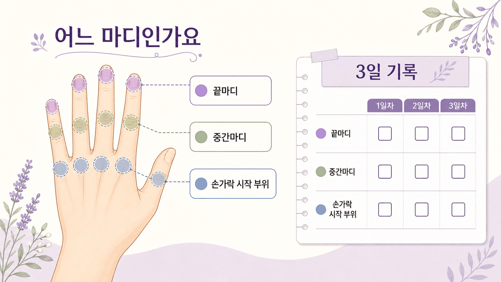 손가락 끝마디, 중간마디, 손가락 시작 부위를 나눠 적는 3일 기록 이미지
