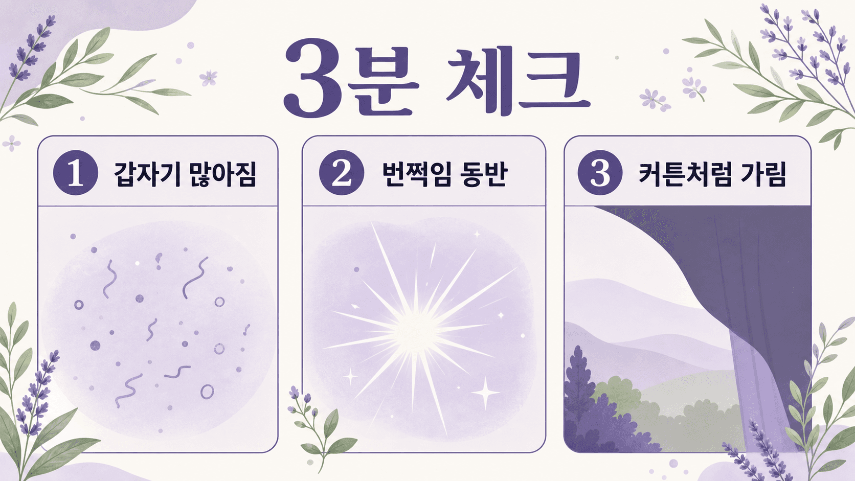 눈앞 날파리 비문증을 안약 전 3분 동안 갑자기 많아짐, 번쩍임, 커튼처럼 가림으로 나누어 확인하는 이미지