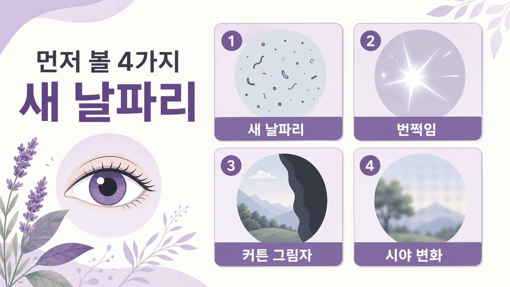 눈앞 날파리가 갑자기 보일 때 새 날파리, 번쩍임, 커튼 그림자, 시야 변화를 먼저 보는 4가지 기준 이미지