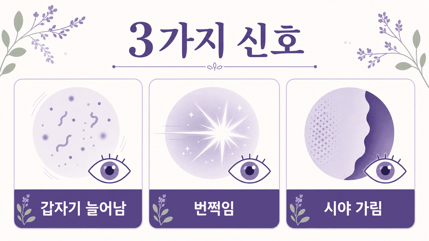 눈앞 날파리처럼 보이는 점과 번쩍임, 시야 가림을 3가지 신호로 나누는 보라색 인포그래픽