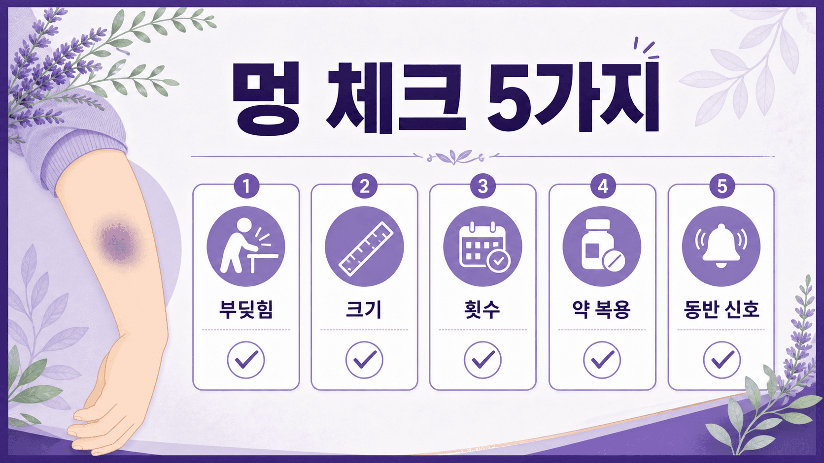 멍을 부딪힘, 크기, 횟수, 약 복용, 동반 신호 5가지로 나누어 보는 체크 이미지