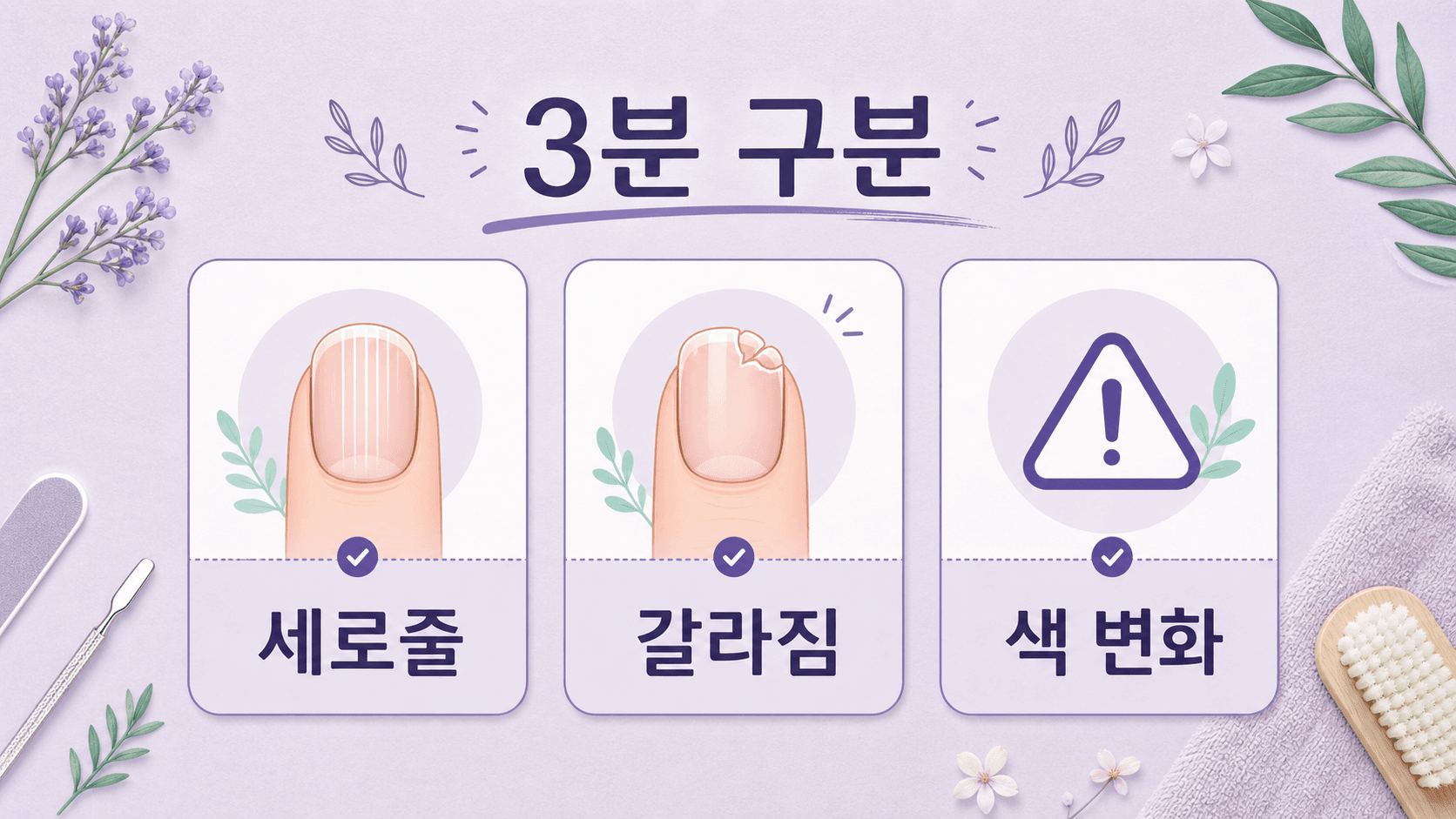 손톱 세로줄과 갈라짐, 색 변화를 나누는 3분 구분 이미지