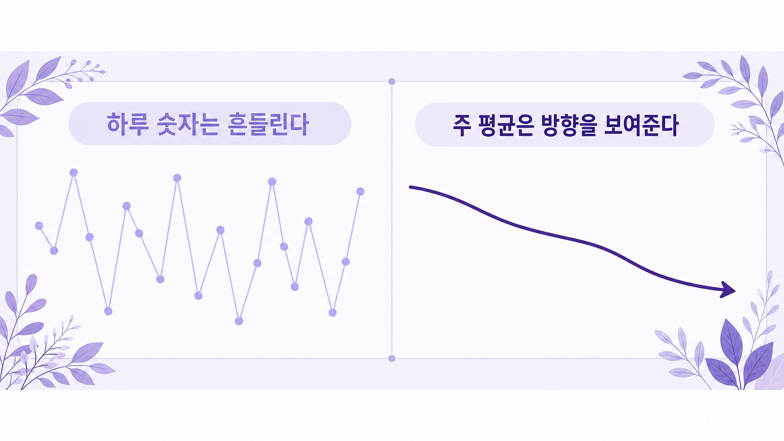 하루 숫자는 흔들리고 주 평균은 방향을 보여준다는 비교 그래프