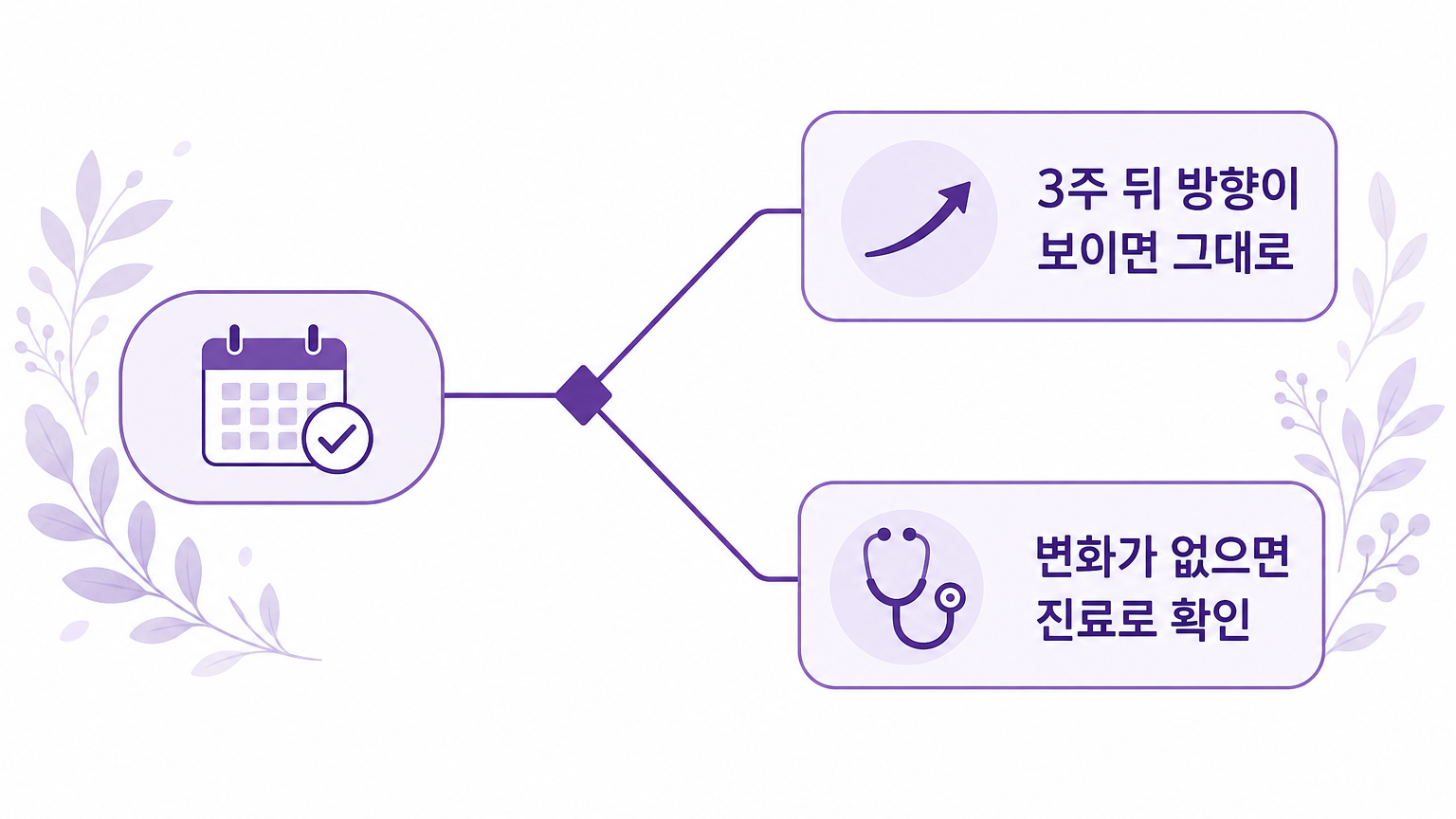 3주 뒤 방향이 보이면 그대로, 변화가 없으면 진료로 확인하는 분기도