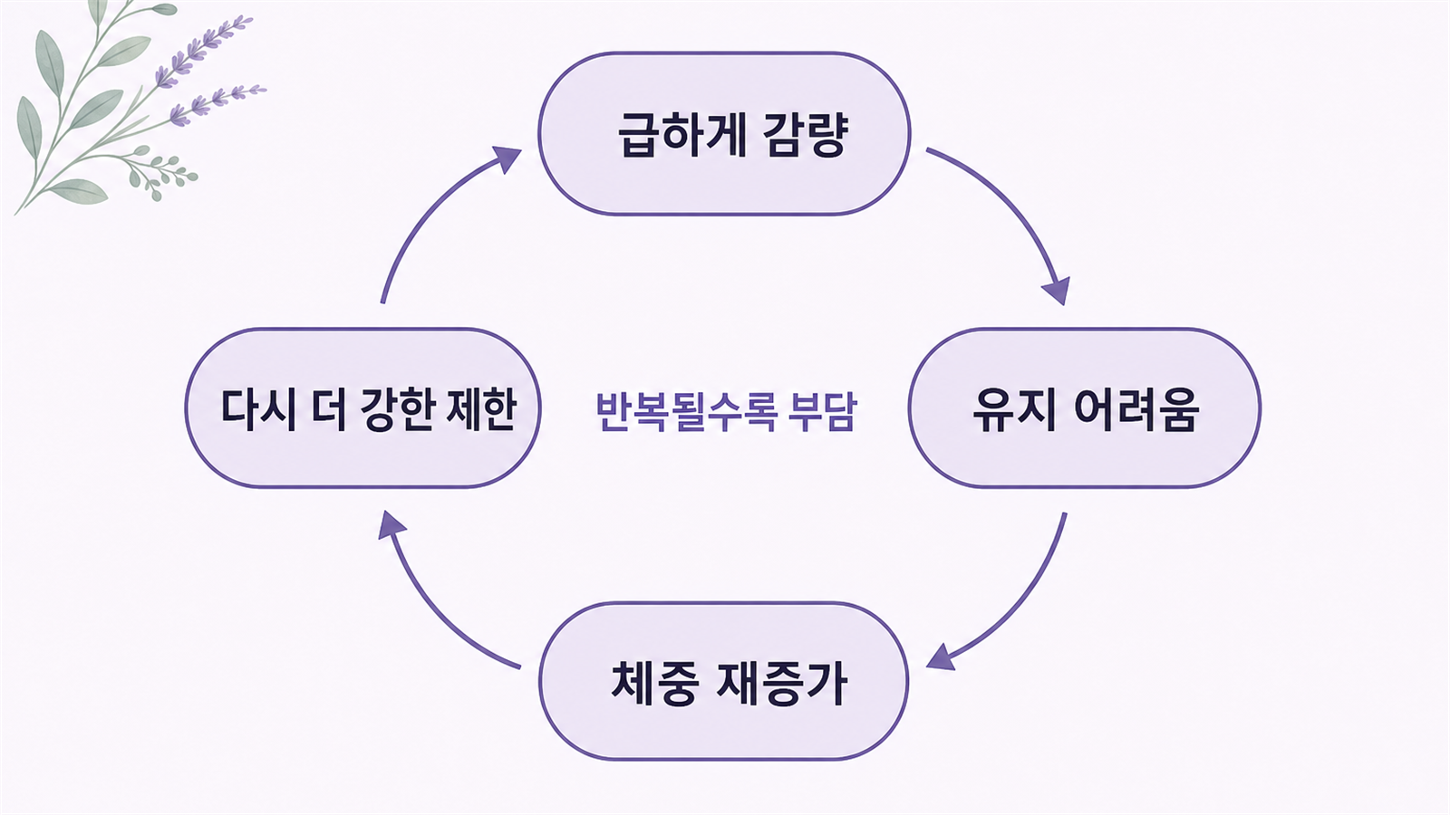 급하게 감량, 유지 어려움, 체중 재증가, 다시 더 강한 제한으로 이어지는 반복 사이클 도식