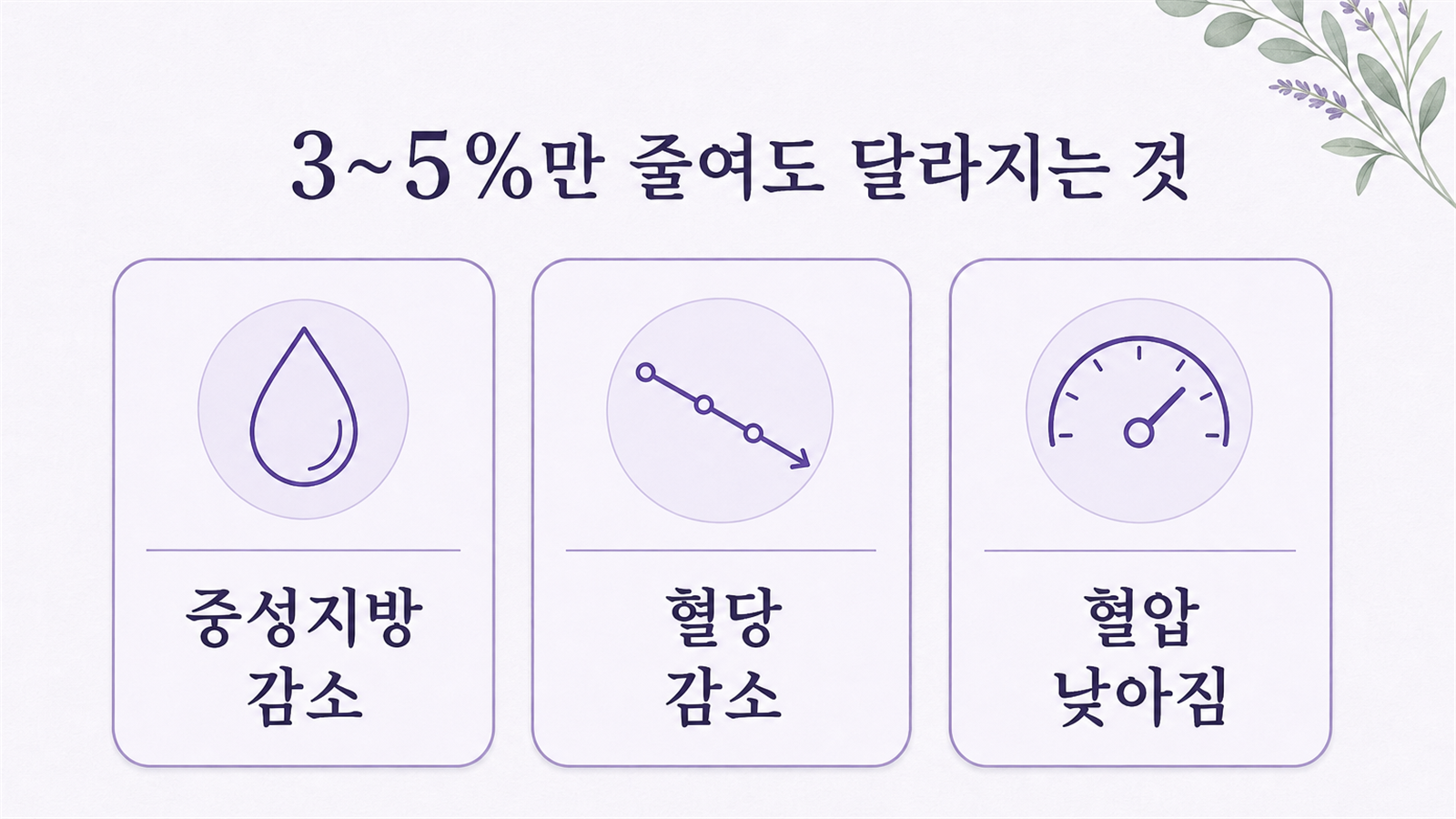 3~5% 감량으로 중성지방, 혈당, 혈압이 달라질 수 있음을 보여 주는 카드