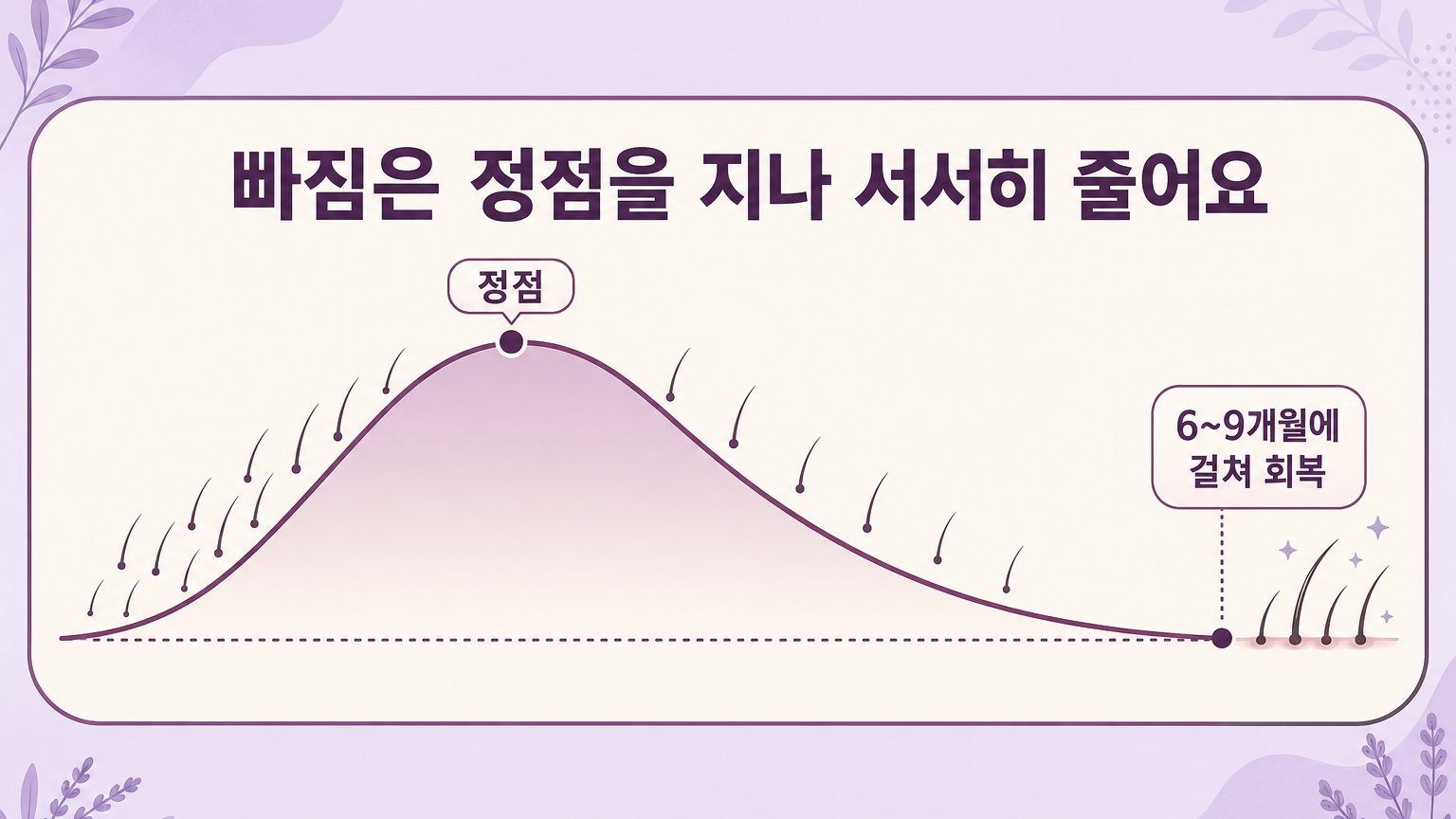 빠짐이 정점을 지나 6~9개월에 걸쳐 줄어드는 경과를 보여주는 곡선