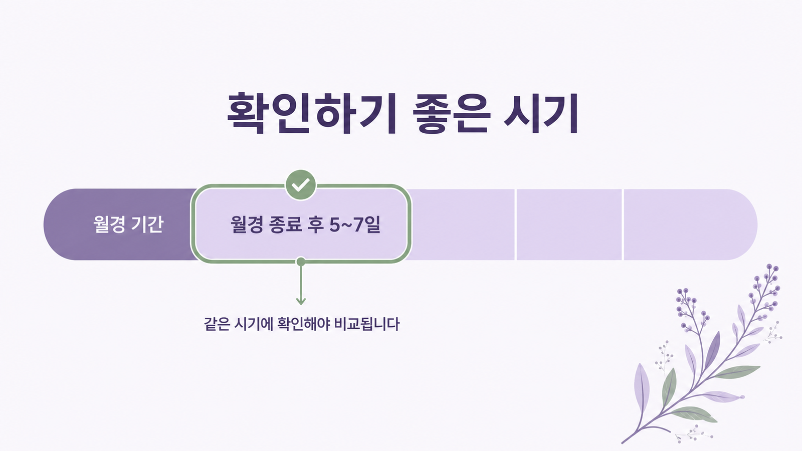월경 주기 위에 월경 종료 후 5~7일 확인 구간을 표시한 보라톤 타임라인 도식