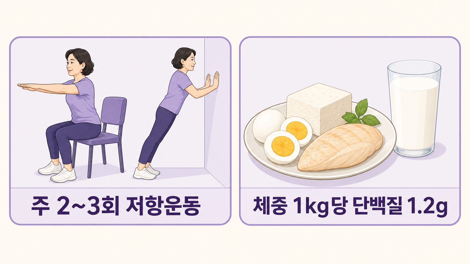 주 2~3회 저항운동과 체중 1kg당 단백질 1.2g을 정리한 실행 카드