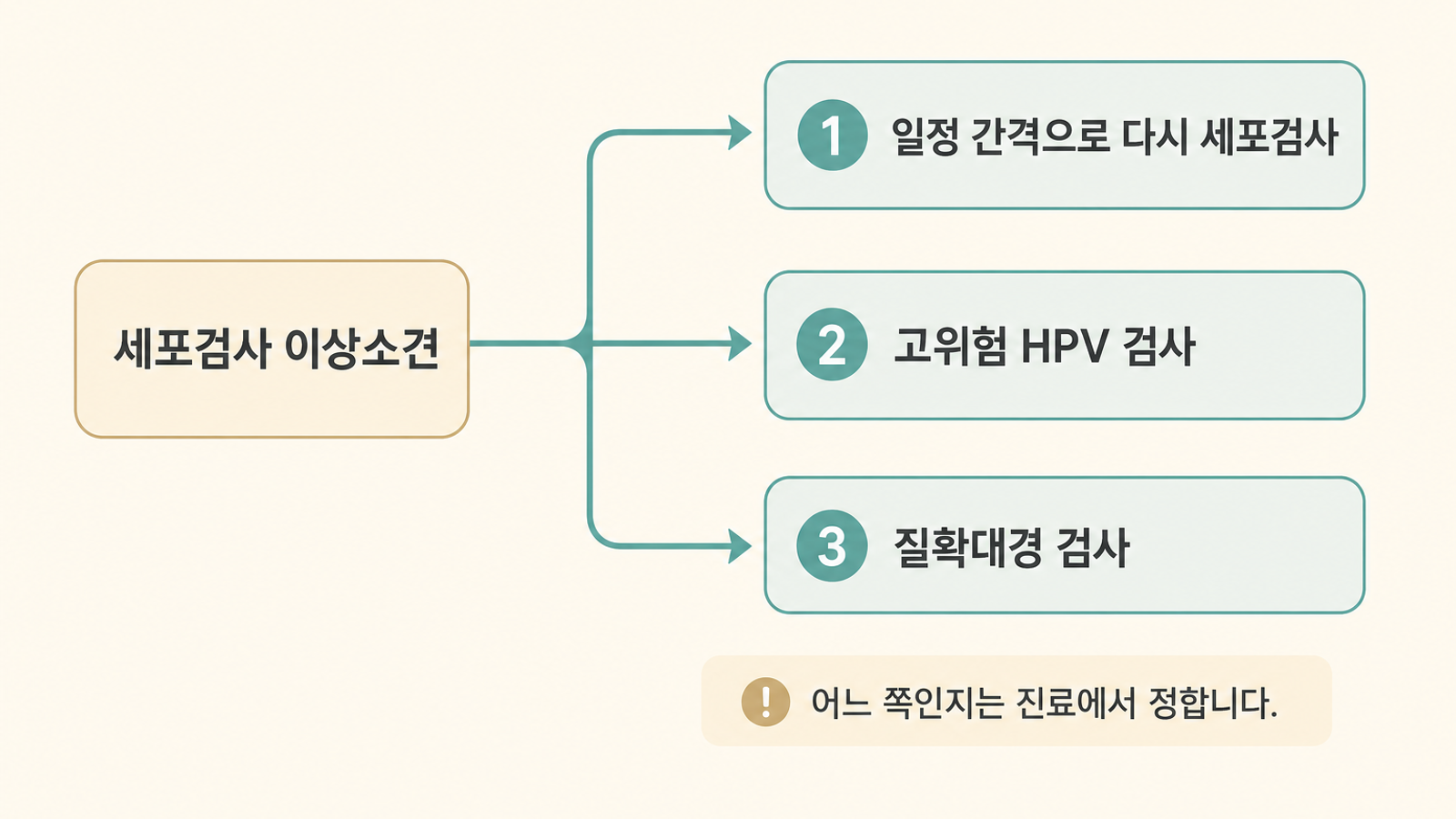 세포검사 이상소견 이후 재검사, HPV 검사, 질확대경 검사로 갈라지는 흐름도