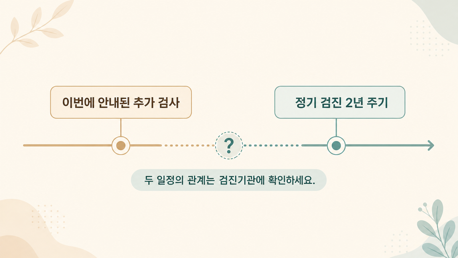 이번에 안내된 추가 검사와 정기 검진 2년 주기의 관계를 표시한 타임라인