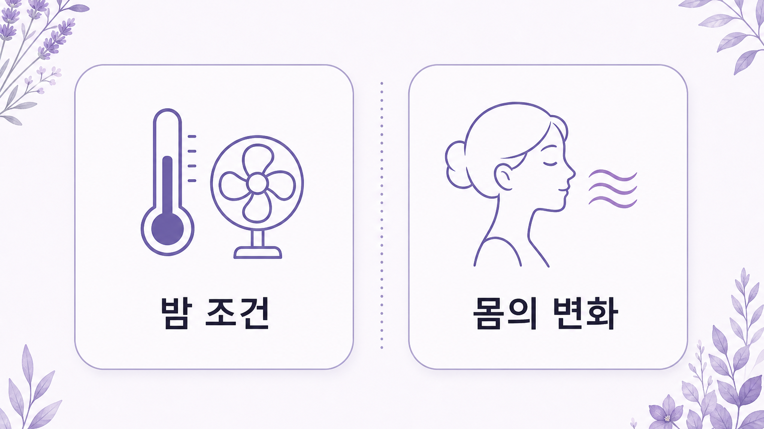 밤 조건과 몸의 변화를 나누어 보는 비교 도식