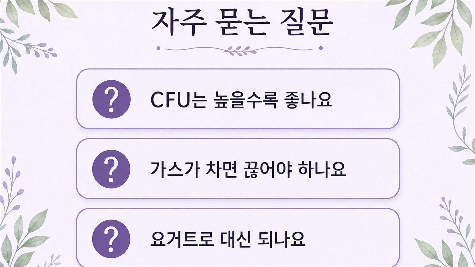 CFU 기준과 가스, 요거트 대체 여부를 묻는 세 개의 질문 카드로 구성된 요약 이미지