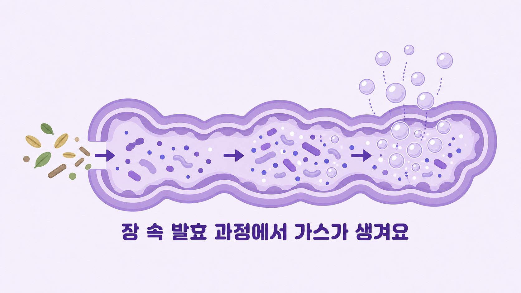 장 속 발효 과정에서 가스가 만들어지는 개념 도식